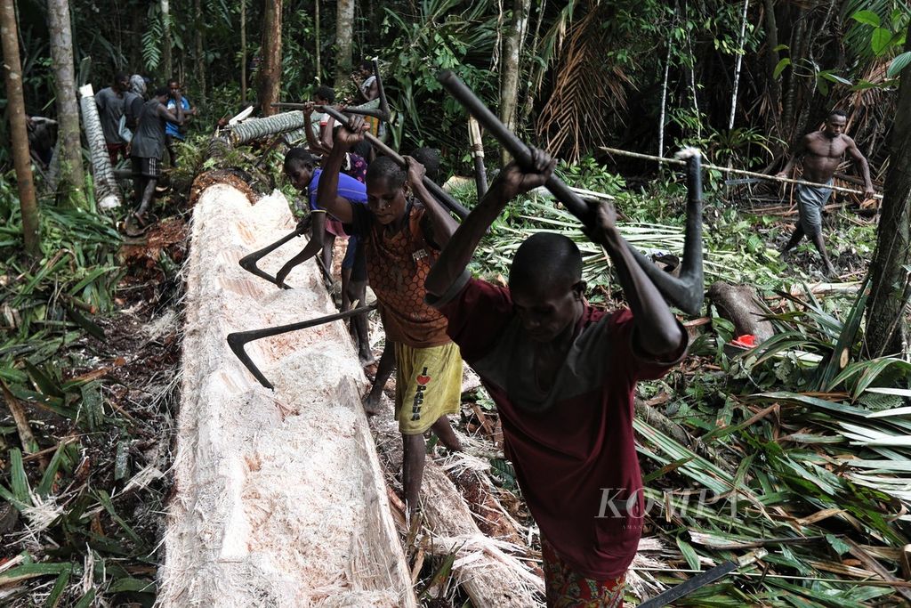 Warga kampung As dan Atat, Distrik Pulau Tiga, Asmat, Papua, bergantian memangkur sagu di hutan adat mereka, Kamis (14/10/2021). 