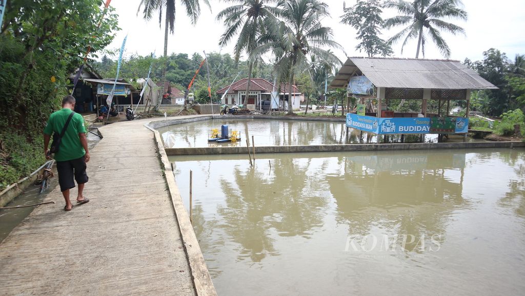 One of the fish ponds in Nila Kawali Village in Banjarwaru, Kawali Village, Kawali District, Ciamis Regency, West Java, Thursday (16/2/2023).