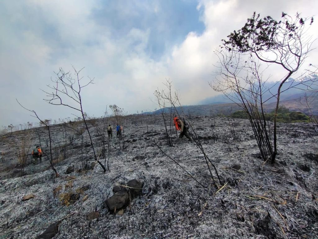 Kondisi lahan di lereng Gunung Arjuno di Kabupaten Malang, Jawa Timur, yang baru saja terbakar, Minggu (28/8/2023).