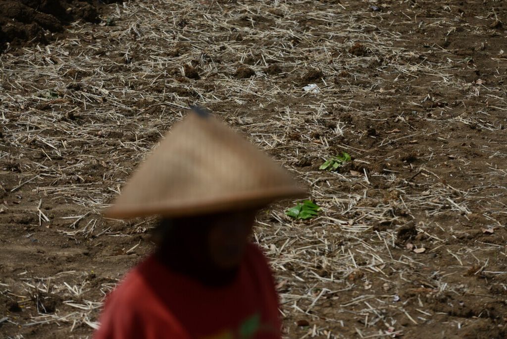 Lahan yang masih kering kembali diolah petani untuk menyiapkan bibit padi gogo di Desa Jatirunggo, Kecamatan Pringapus, Kabupaten Semarang, Jawa Tengah, Rabu (13/11/2019). Padi gogo menjadi pilihan petani untuk menyesuaikan lahan mereka yang kering.