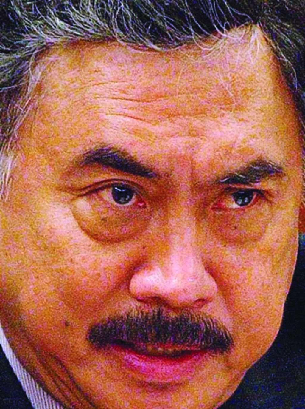 Gayus Lumbuun 