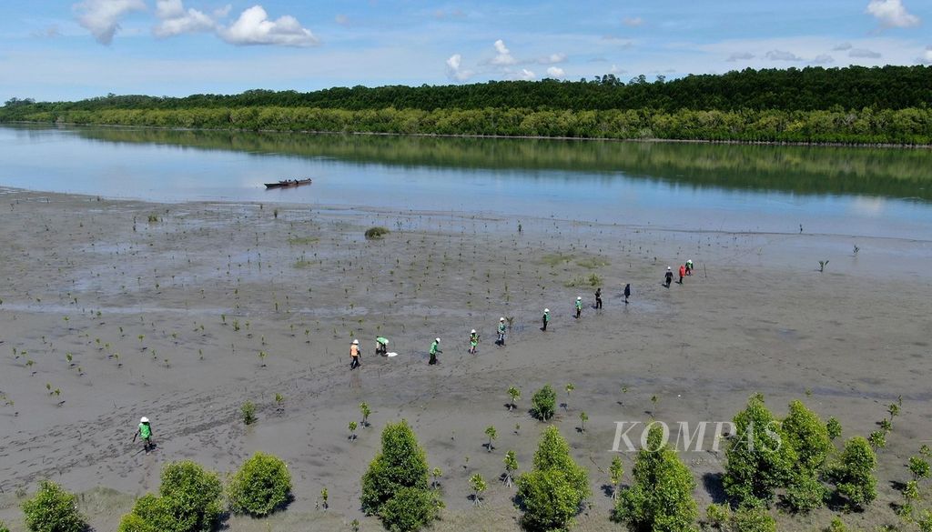 Pekerja PT FI sedang menanam bibit mangrove pada pulau-pulau baru hasil sedimentasi <i>tailing</i> di kawasan Muara Sungai Ajkwa, Mimika, Papua, Jumat (18/3/2022). PT FI mulai melakukan revegetasi di atas area pengendapan <i>tailing</i> mulai tahun 2005. Hingga saat ini, PT FI telah berhasil menanam kembali (revegetasi) di atas lahan pengendapan <i>tailing</i> seluas 450 hektar. 