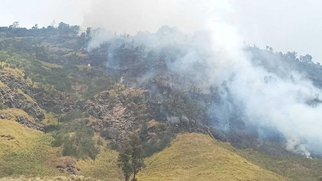 Visual kawasan hutan terbakar di kaki Semeru, Lumajang, dan di tebing Kaldera Tengger, Kamis (31/8/2023).
