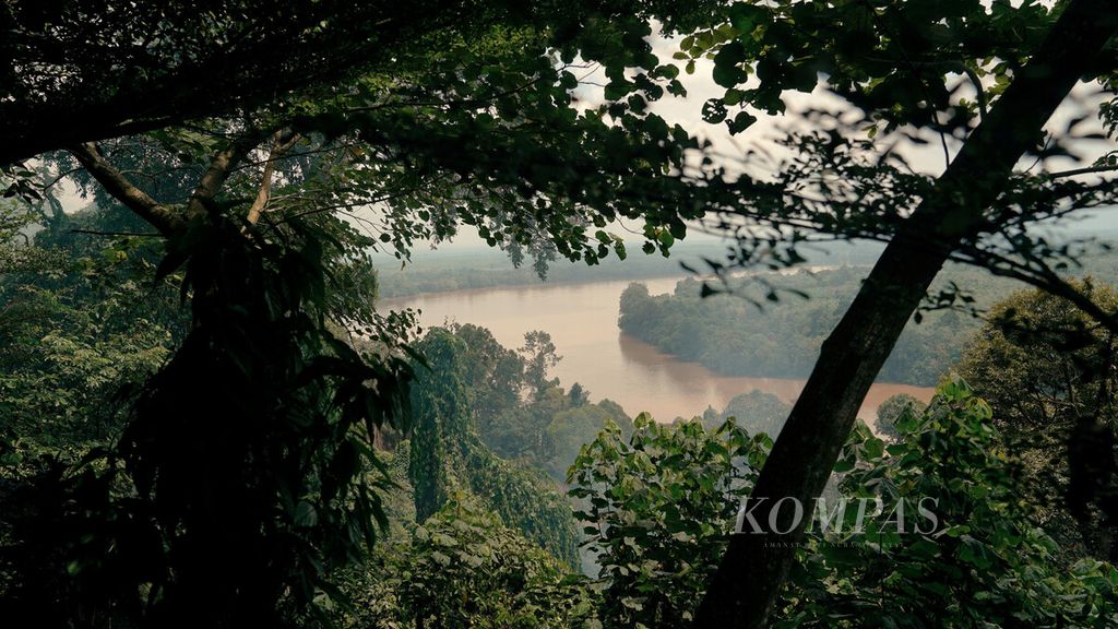 Hutan mengeililingi Sungai Kapuas di Desa Penyeladi, Kecamatan Kapus, Kabupaten Sanggau, Kalimantan Barat, Minggu (10/10/2021).