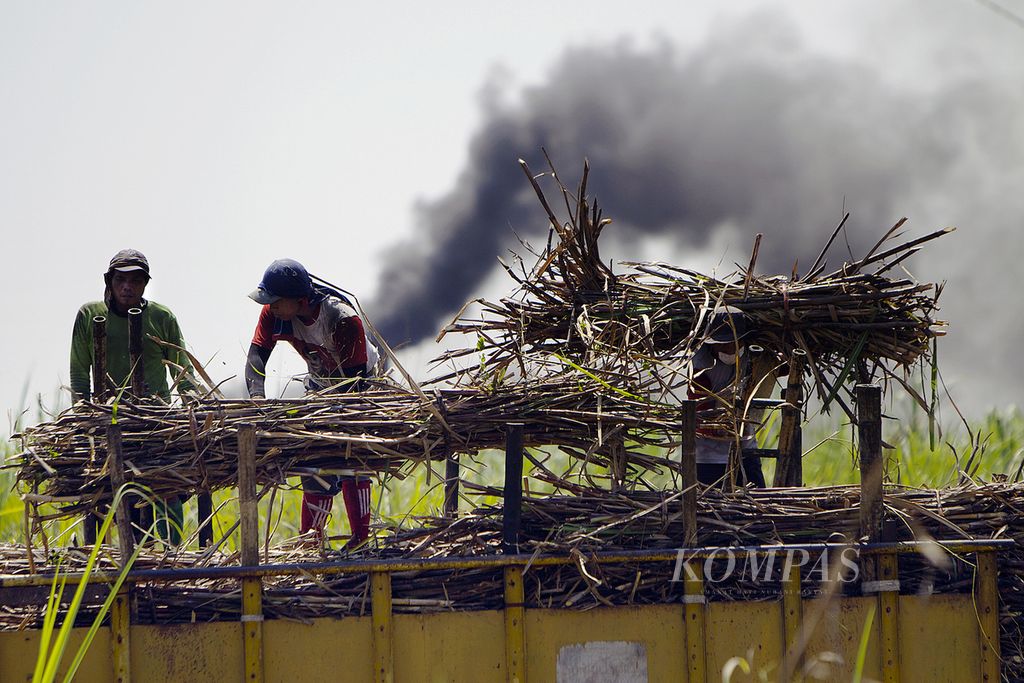 Petani memanen tebu yang diangkut diatas truk di Kajen, Lebaksiu, Tegal, Jawa Tengah, beberapa waktu lalu.