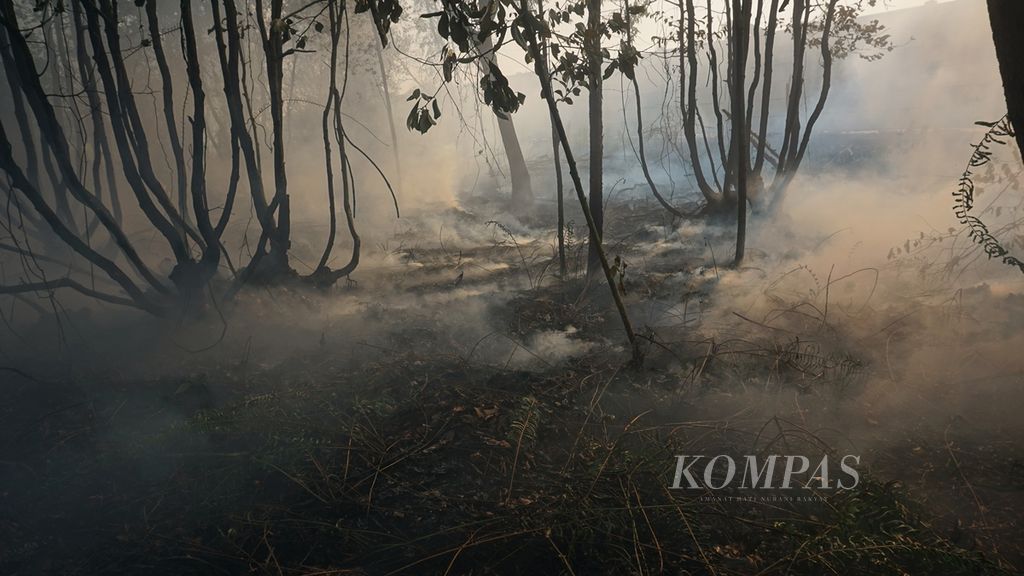 Kondisi lahan gambut yang terbakar selama lebih dari empat bulan di Kelurahan Kalampangan, Kota Palangkaraya, Kalimantan Tengah, Rabu (6/11/2019). Api sudah masuk ke lahan gambut bagian bawah.