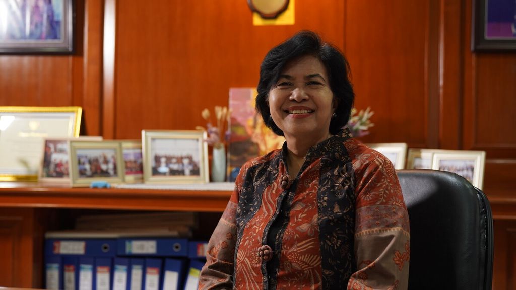 Profesor riset di Pusat Riset Politik BRIN sekaligus Ketua Dewan Pengurus The Habibie Center, Dewi Fortuna Anwar, di Jakarta, Selasa (25/6/2024).