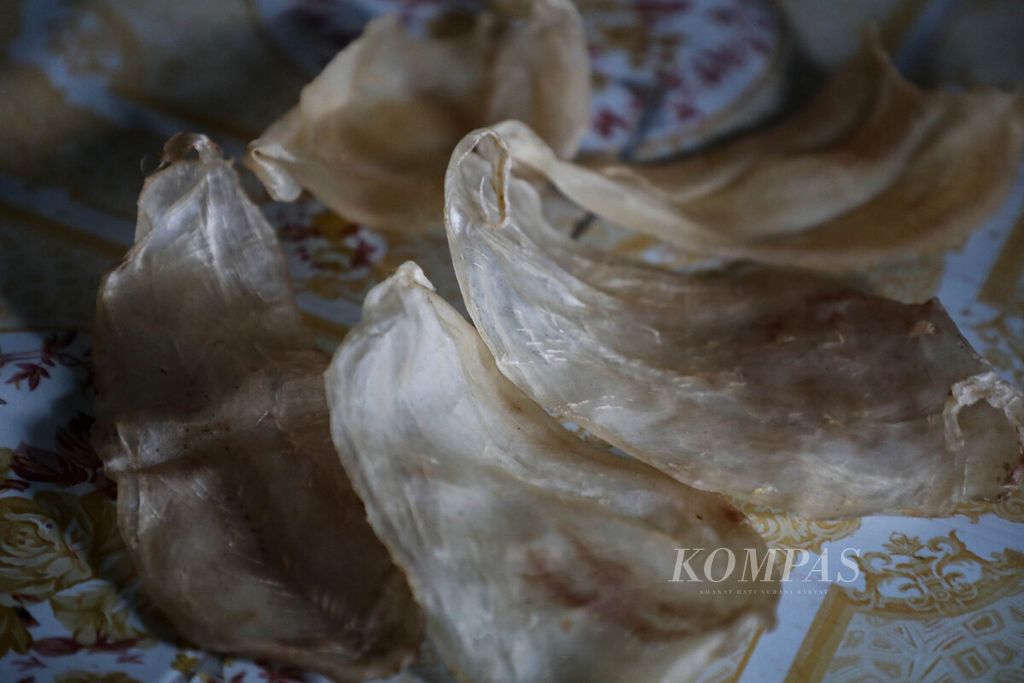 Ganadi fish bubbles that have dried and are ready for sale owned by a collector in Feternu Village, Teluk Arguni Atas District, Kaimana Regency, West Papua, Wednesday (16/2/2021).