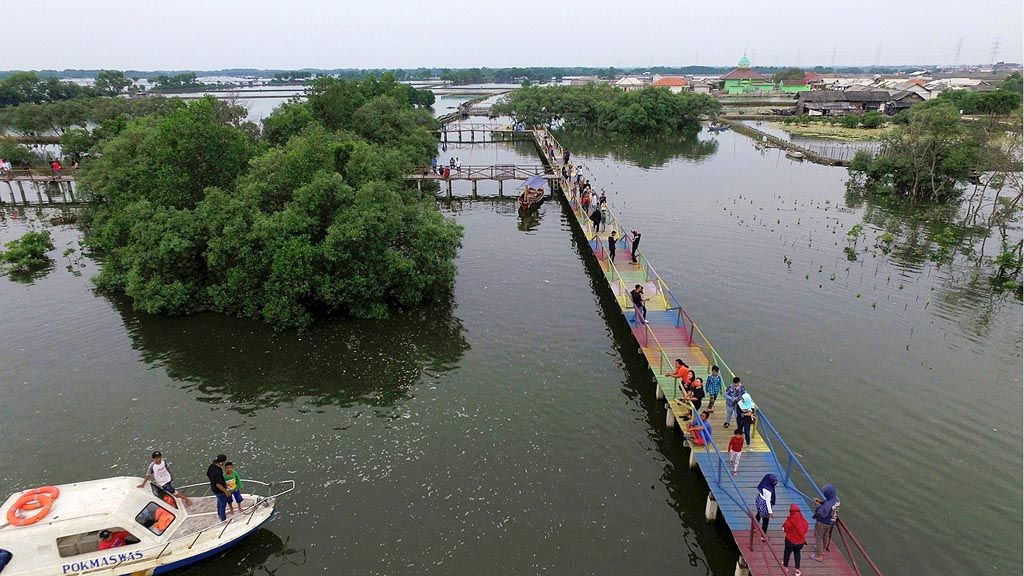Jembatan Cinta, salah satu daya tarik tujuan wisata mangrove di Tarumajaya, Kabupaten Bekasi, Jawa Barat, Kamis (11/5). Wisata ini menawarkan panorama mangrove, wisata air, perkampungan nelayan, dan ada pasar ikan 