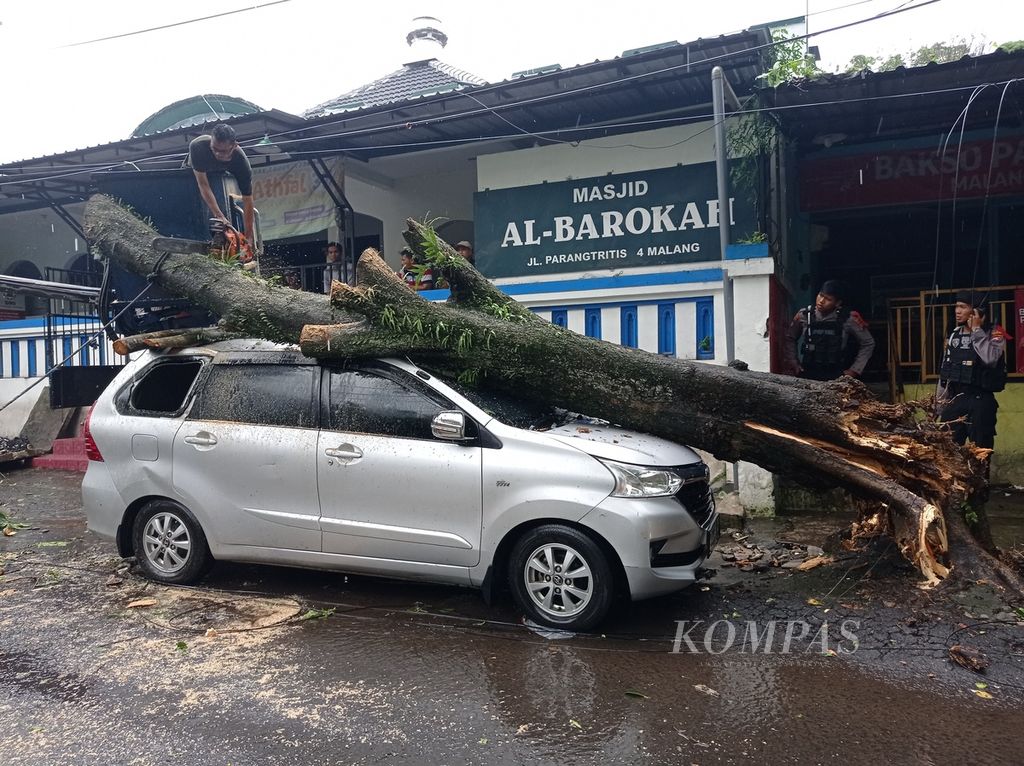 Angin kencang menyebabkan pohon tumbang di Kota Malang, Jatim. Pohon tumbang di Jalan Parangtritis tersebut menimpa sebuah mobil, Kamis (23/12/2021), sekitar pukul 13.00.