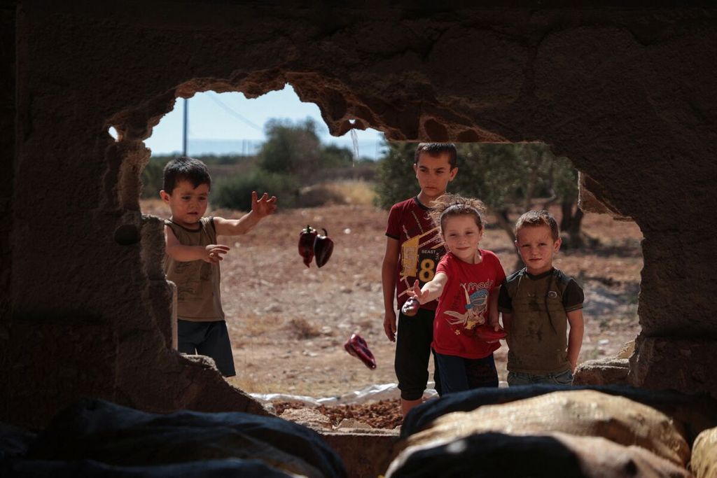 Anak-anak menggantungkan paprika untuk dikeringkan di kota al-Mastumah, Provinsi Idlib, Suriah, 5 Agustus 2023. 