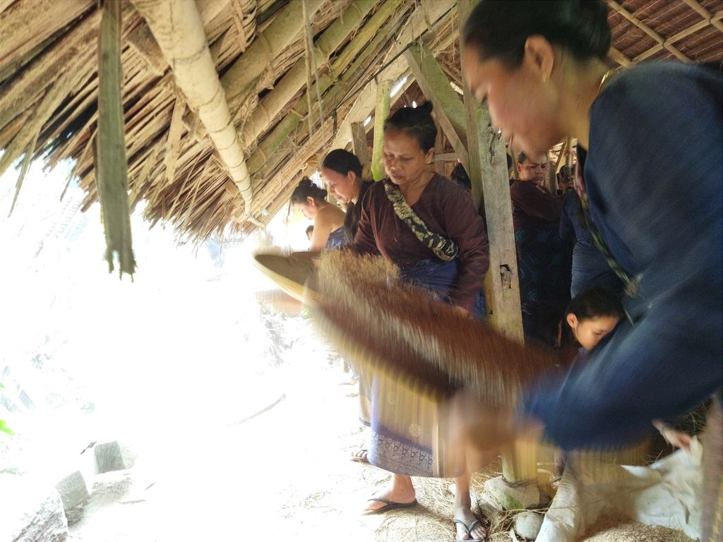 Para ibu menampik atau memisahkan beras dari kulit padi yang sudah ditumbuk. Puluhan kaum perempuan dari berbagai kampung di Baduy Luar menumbuk padi di lesung atau prosesi Rempugan Nutu, sebanyak 35 rumpun padi atau sekitar 140 kilogram yang diambil dari <i>leuit</i> (lumbung padi) mereka, Kamis (21/7/2022). Rempugan Nutu yang dilakukan kaum perempuan ini sebagai persiapan untuk pesta adat perkawinan.