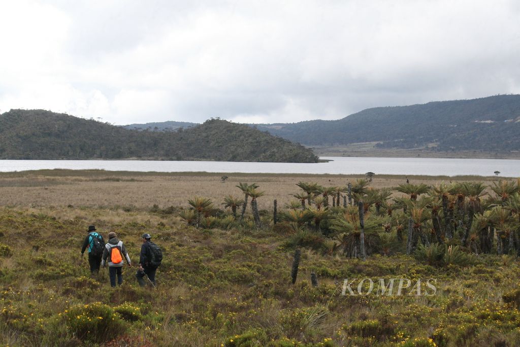 Tim Ekspedisi Tanah Papua harian <i>Kompas</i> menjelajahi daerah sekitar Danau Habema, Taman Nasional Lorentz, yang berada di Jayawijaya, Papua, Sabtu (13/11/2021).