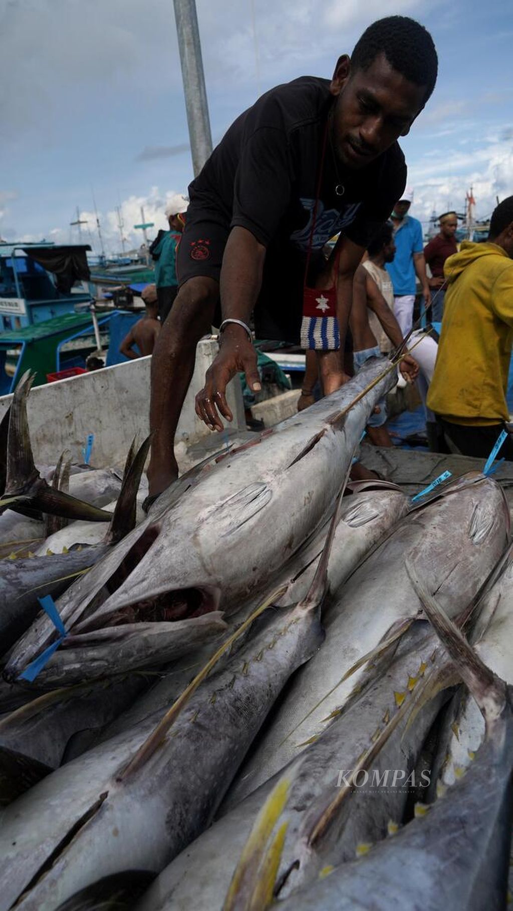 Pekerja menata ikan tuna hasil tangkapan nelayan yang baru datang di Pangkalan Pendaratan Ikan Klademak, Sorong, Papua Barat Daya, Jumat (9/6/2023). Tuna hasil tangkapan nelayan ini akan dibawa ke industri pengolahan untuk pasar ekspor. 