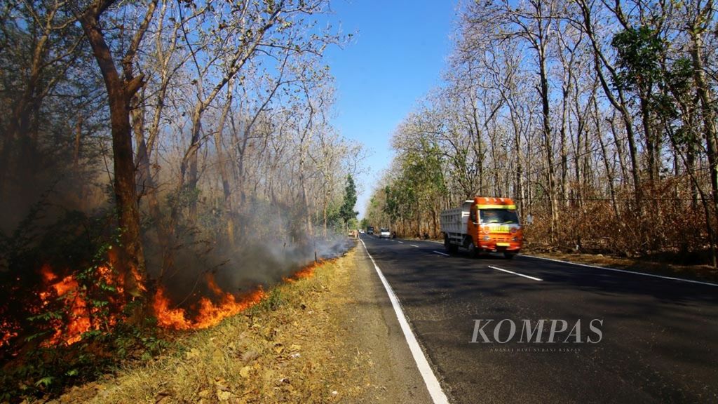 Sejumlah kendaraan melintasi kabut asap akibat kebakaran hutan di Taman Nasional Baluran Situbondo, Kamis (24/8/2017).  