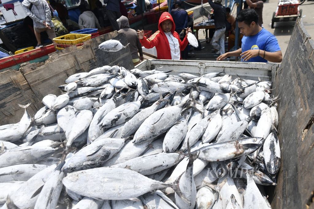 Pekerja memindahkan ikan hasil tangkapan yang telah ditimbang ke dalam bak mobil pengangkut di Pelabuhan Muara Angke, Jakarta Utara, Kamis (4/11/2021). 