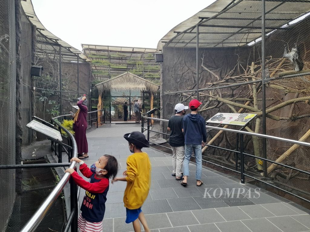 Wisatawan menikmati koleksi satwa di Batu Secret Zoo, Jatim Park II, di Kota Batu, Jawa Timur, 8 Oktober 2022 lalu.