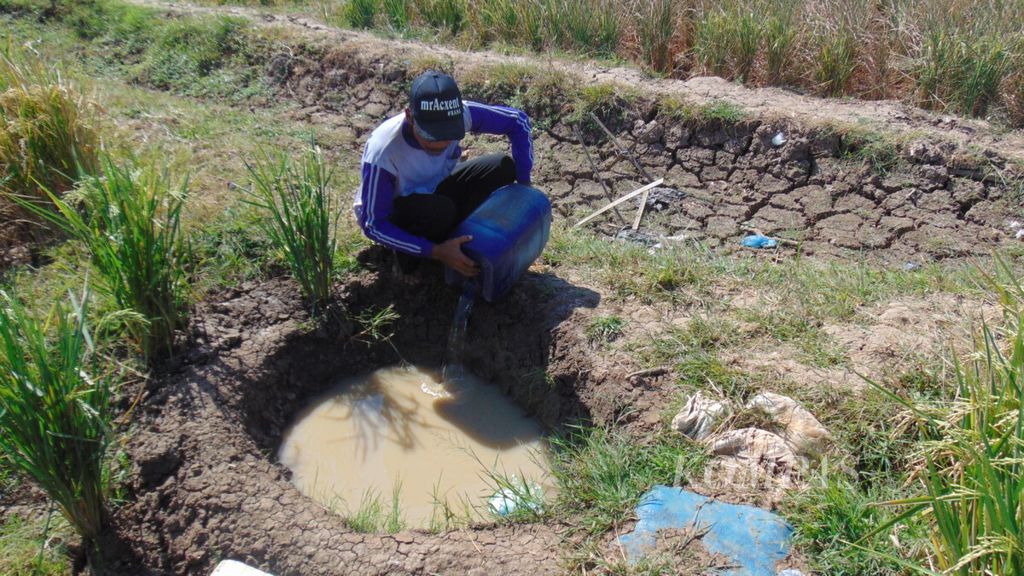 Petani mengisi kubangan dengan air untuk mengairi sawahnya yang kekeringan di Desa Losarang, Kecamatan Losarang, Kabupaten Indramayu, Jumat (27/7/2018). Petani membeli satu jeriken air seharga Rp 2.500.