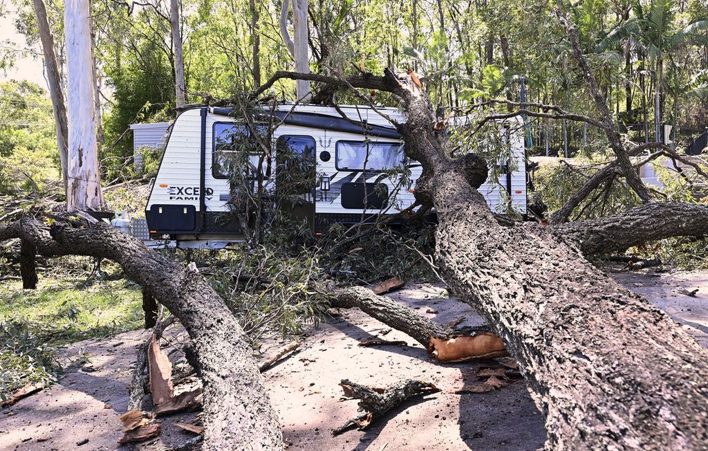Sebatang pohon tumbang menimpa sebuah campervan tak jauh dari Gold Coast, Australia. Foto diambil pada Selasa (26/12/2023). Sejumlah orang dikabarkan meninggal karena cuaca buruk di Australia. 