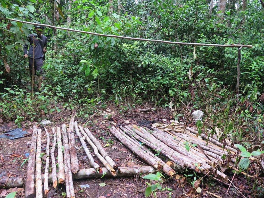 Hunian Mat Liar yang telah ditinggalkan. Lokasi di Hutan Harapan, perbatasan Jambi dan Sumatera Selatan, November 2014.