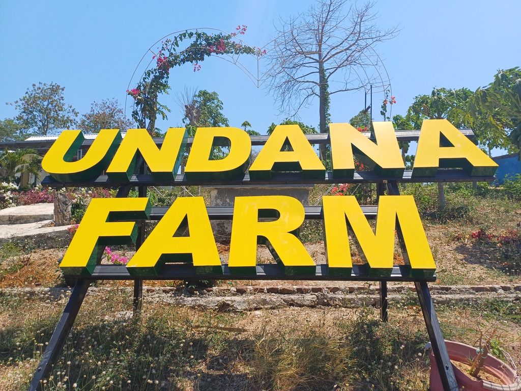 Universitas Nusa Cendana (Undana) Farm terletak di Desa Mata Air, Kecamatan Kupang Tengah, Kabupaten Kupang, NTT, 35 kilometer dari Kampus Undana, Minggu (15/10/2023). 