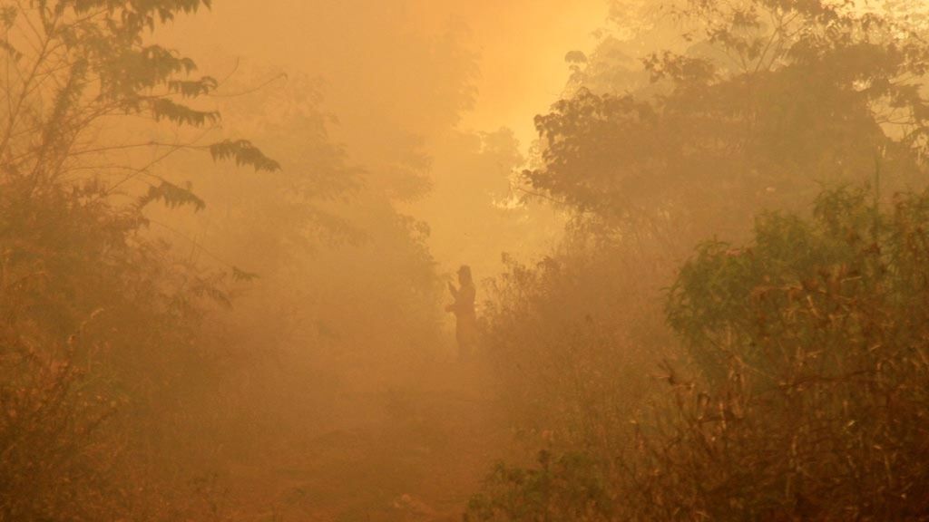 Warga melihat suasana kebakaran lahan gambut di Desa Kuta Padang, Kecamatan Bubon, Aceh Barat, Aceh, Jumat (12/7/2019). Menurut keterangan warga setempat, kebakaran dalam sepekan terakhir itu menghanguskan sekitar 90 hektar lahan perkebunan kelapa sawit dan perkebunan karet milik warga di Kecamatan Woyla Barat dan Kecamatan Bubon. Luas area yang terbakar juga terus bertambah.