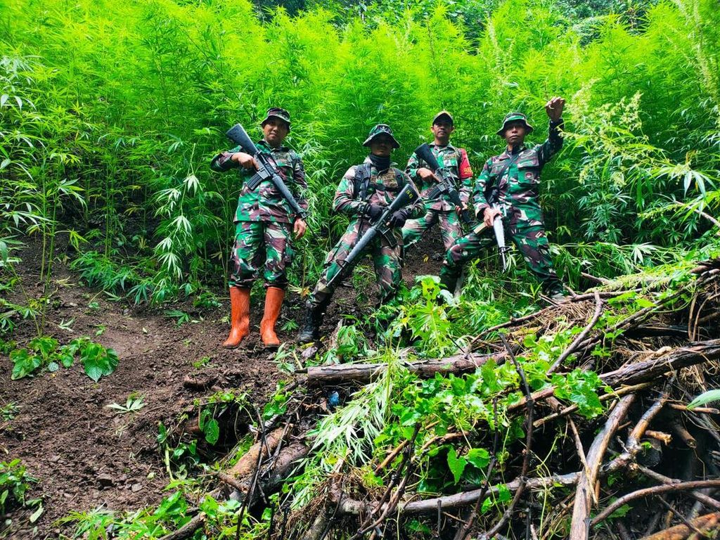 Personel Komando Distrik Militer 0102/Pidie memusnahkan ganja yang ditemukan di perbukitan di antara Desa Kebun Nilam dan Desa Ulee Gunong, Kecamatan Tangse, Kabupaten Pidie, Sabtu (3/9/2022). Sebanyak 30.000 batang ganja dibakar.