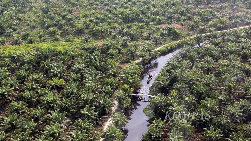 Hutan kawasan penyangga cagar biosfer eks HPH PT Multi Eka Jaya seluas 118.000 hektar nyaris habis dirambah. Hutan itu kini sudah menjadi kebun kelapa sawit.