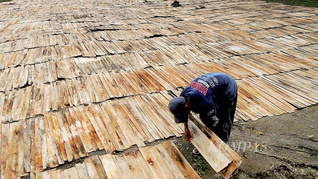 Pekerja menjemur lembaran kayu sengon untuk bahan baku industri kayu lapis di Desa Tunggulrejo, Kecamatan Kendal, Kabupaten Kendal, Jawa Tengah, awal November 2016.