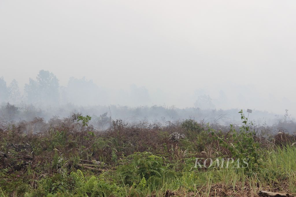 Kebakaran lahan gambut di Kecamatan Sungai Raya, Kabupaten Kubu Raya, Kalimantan Barat, Senin (21/8/2023).