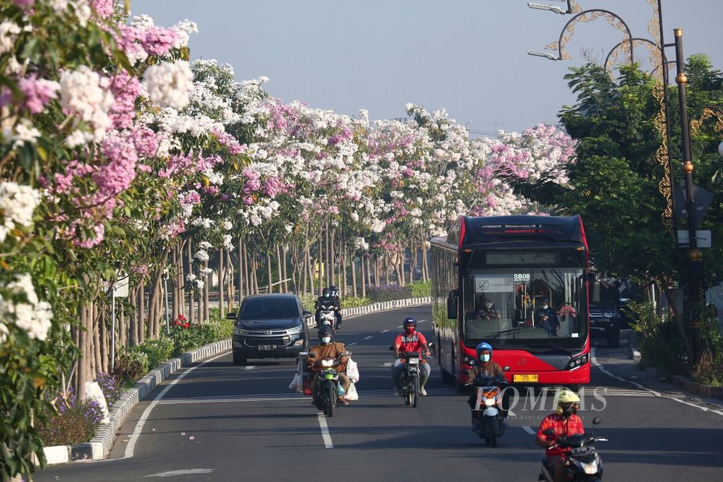 Suasana di sepanjang jalan Jalan Ir Soekarno atau MERR pada Jumat (1/10/2021) ketika bunga tabebuya mulai mekar dengan warna beragam.