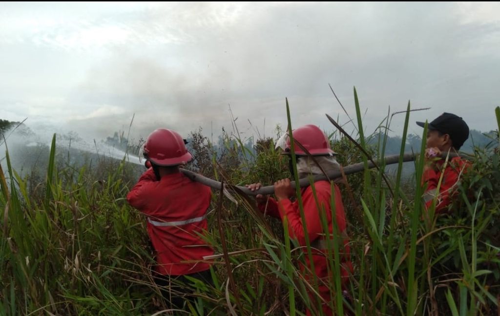 Petugas Manggala Agni memadamkan api di semak belukar yang ada di Kecamatan Pemulutan Barat, Kabupaten Ogan Ilir, Sumatera Selatan, Senin (30/1/2023). Akibat peristiwa ini, sekitar 5 hektar lahan gambut terbakar. 