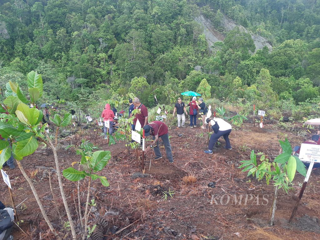 Kegiatan penanaman bambu di daerah Pasir Enam, Kota Jayapura, Papua, Jumat (4/8/2023). Kegiatan ini bertujuan menyelamatkan kawasan Cagar Alam Cycloop yang berada di Kota Jayapura dan Kabupaten Jayapura.
