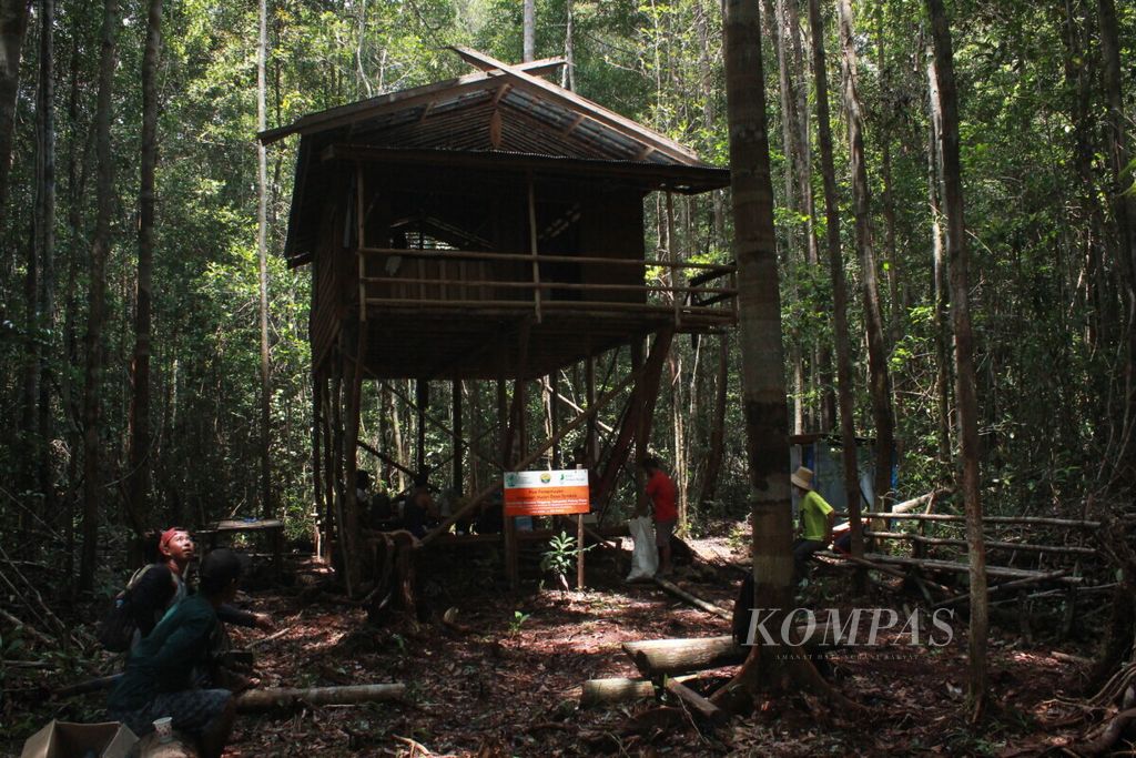 Warga Desa Tambak melakukan pemantauan di Hutan Desa Tambak, Kabupaten Pulang Pisau, Kalteng, Jumat (23/10/2020).