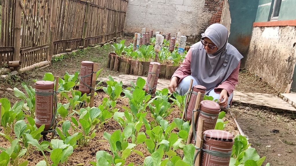 Britania Sari menunjukkan kebun di halaman Posyandu Perumnas 2, Parung Panjang, Kabupaten Bogor, Jawa Barat, Minggu (9/6/2024).