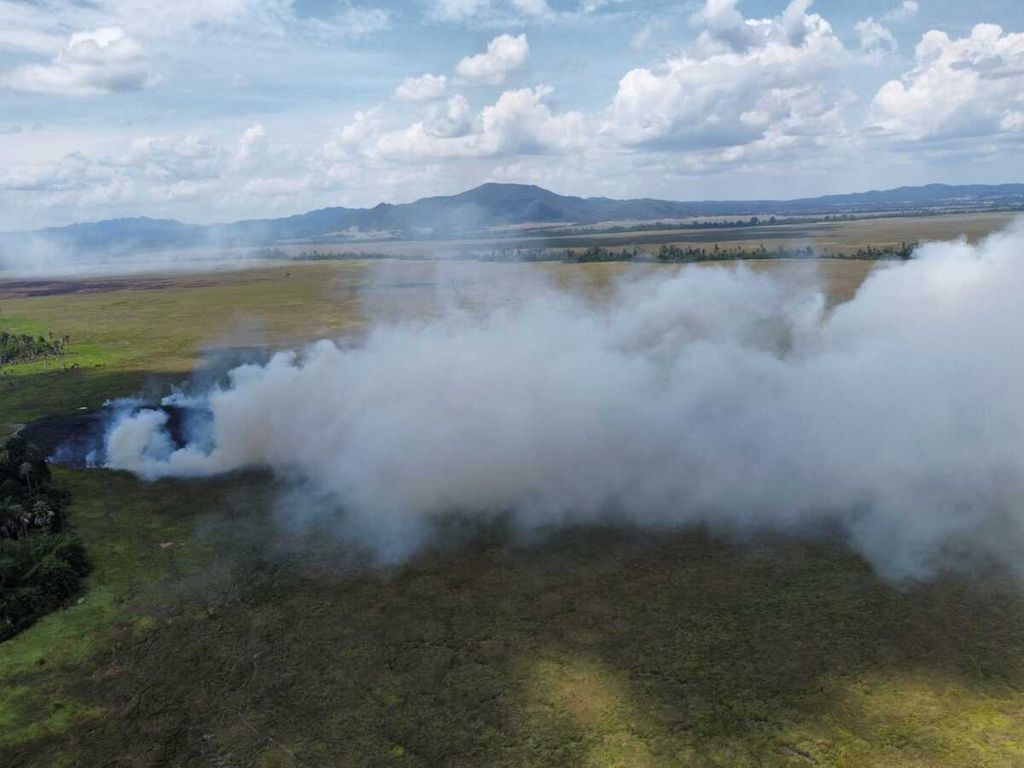 Kebakaran lahan di kawasan Taman Nasional Rawa Aopa Watumohai, di Bombana, Sulawesi Tenggara, Sabtu (14/1/2023). 