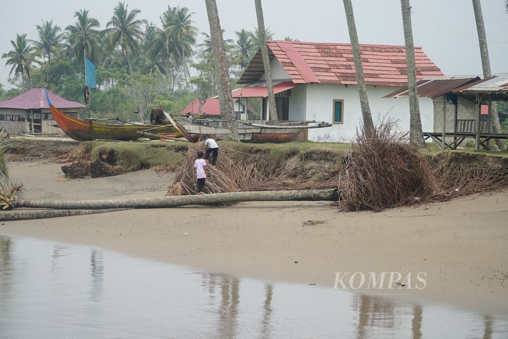 Anak-anak beraktivitas di sekitar pohon kelapa yang tumbang di pesisir Kampung Pasir Jambak, Kelurahan Pasie Nan Tigo, Kecamatan Koto Tangah, Kota Padang, Sumatera Barat, Selasa (31/10/2023). 
