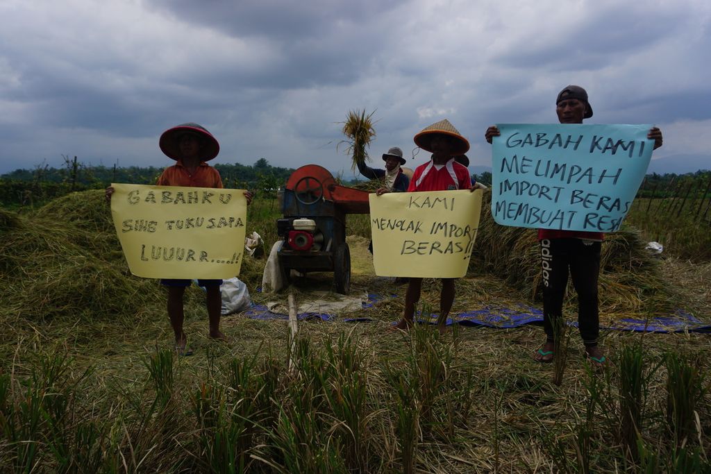 Farmers reject the plan to import rice from the central government in Brobot Village, Purbalingga, Central Java, Tuesday (23/3/2021).
