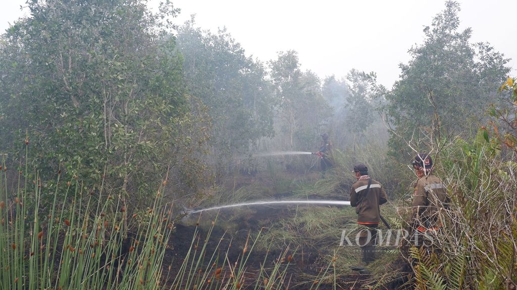 Petugas berupaya memadamkan api di lahan gambut yang terbakar di Kecamatan Gambut, Kabupaten Banjar, Kalimantan Selatan, Selasa (15/10/2019).