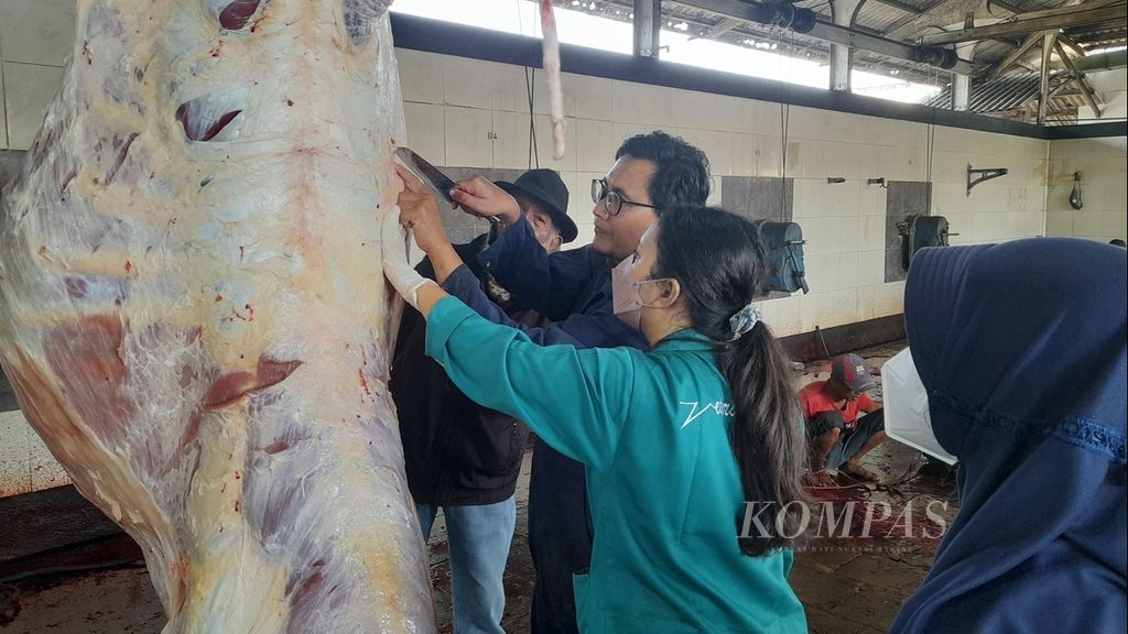 Tim dari Fakultas Kedokteran Hewan pada Laboratorium Kesehatan Masyarakat Veteriner, Universitas Brawijaya Malang memeriksa daging hewan kurban di rumah potong hewan setempat, Minggu (10/7/2022)