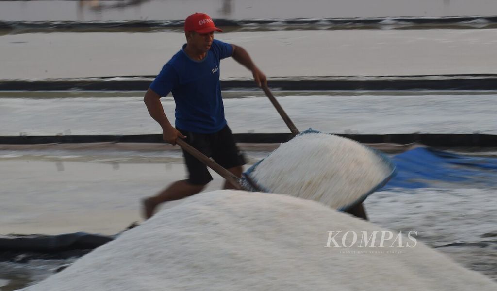 Petambak membawa garam yang baru dipanen di Kecamatan Benowo, Surabaya, Selasa (7/11/2023). 
