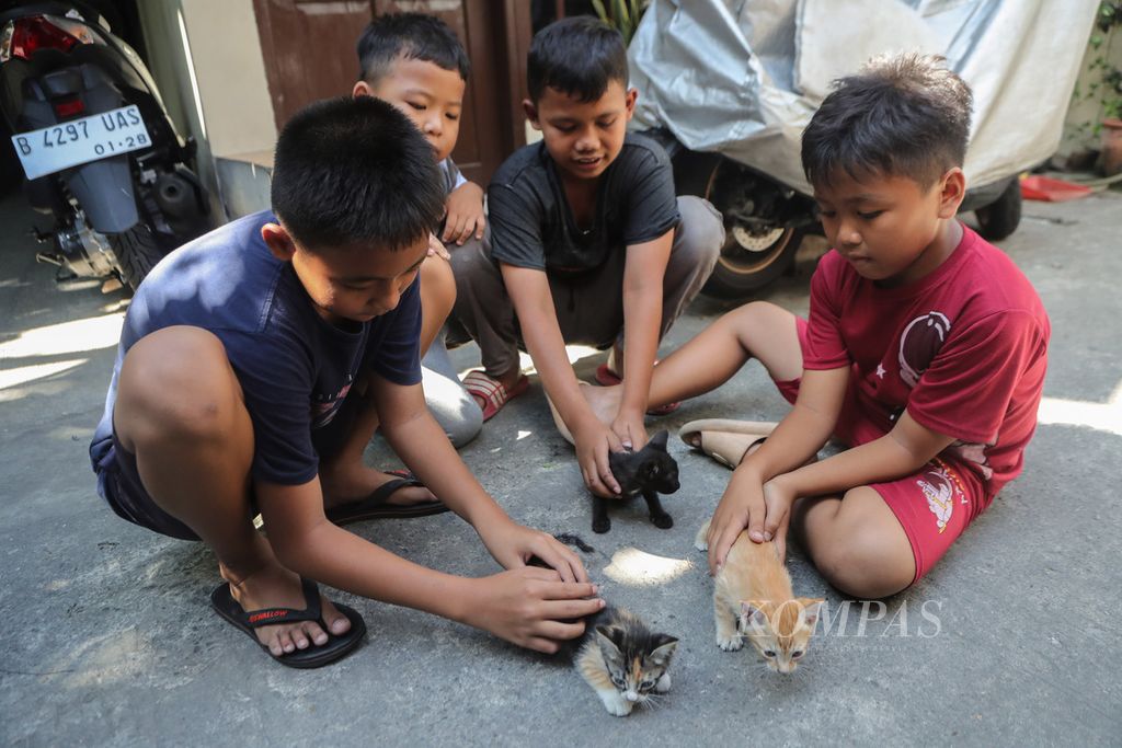 Empat anak bermain dengan anak kucing di RW 005 Sunter Agung, Jakarta Utara, Rabu (19/7/2023). 