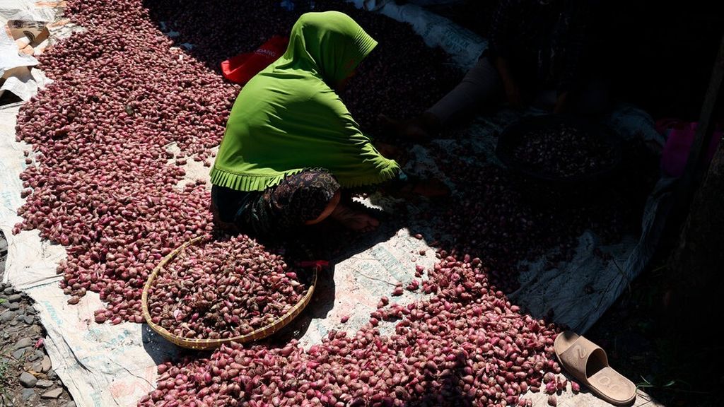 Brebes Exports 4,500 Tons of Shallots to Thailand