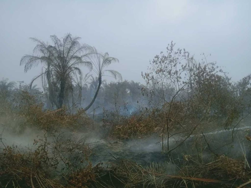 Pemadam menyirami titik asap di lahan gambut yang terbakar di Kecamatan Darul Makmur, Kabupaten Nagan Raya, Provinsi Aceh, Rabu (1/6/2022). Kebakaran lahan gambut pada musim panas terus berulang di kabupaten itu.