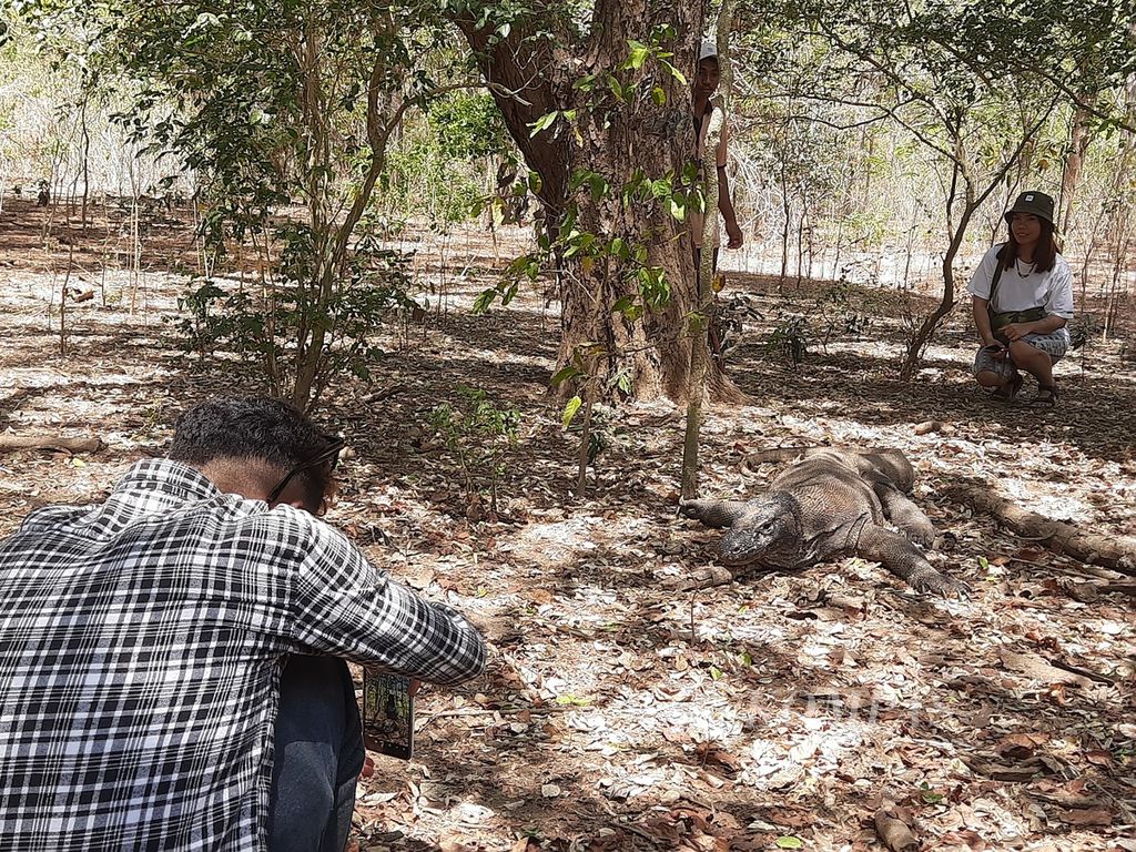 Seorang <i>ranger</i> atau penjaga yang sedang memotret wisatawan di Pulau Komodo, Nusa Tenggara Timur, Minggu (10/9/2023). Pelaku usaha berharap agar area konservasi dan nonkonservasi dipisah guna memecah kerumunan wisatawan. 