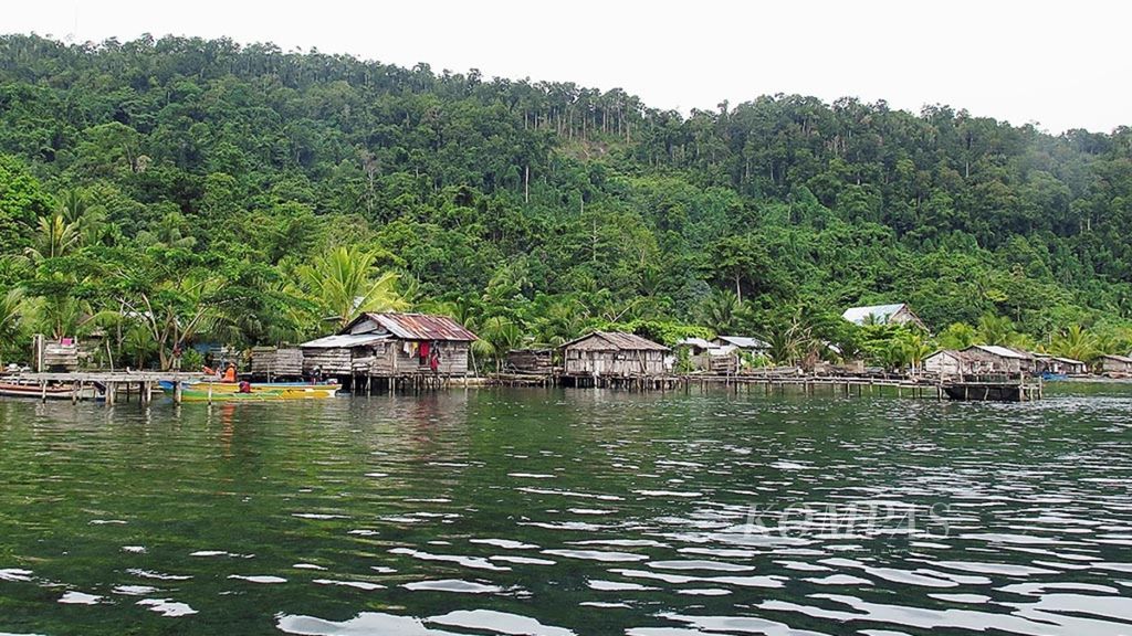 Hutan di sekeliling desa Warsambin, Teluk Mayalibit, Raja Ampat, Papua Barat, 17 Februari 2017.  