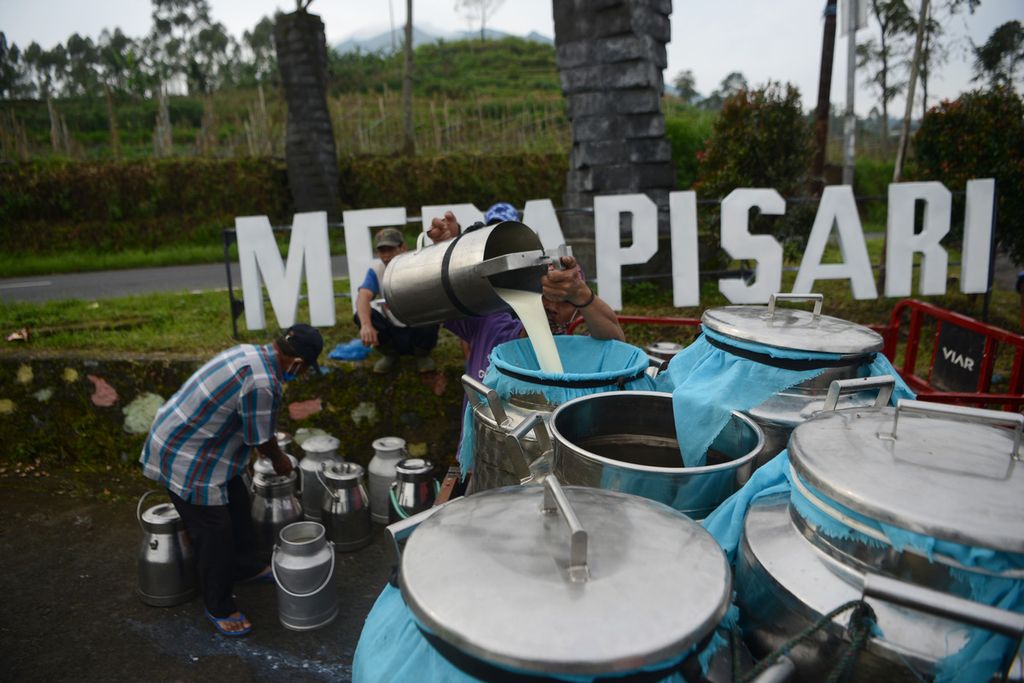 Peternak sapi perah menyetorkan susu ke petugas dari koperasi unit desa saat peringatan 66 tahun berdirinya Dusun Merapisari di Dusun Merapisari, Desa Ngablak, Kecamatan Ngablak, Kabupaten Magelang, Jawa Tengah, Kamis (16/4/2020). Koperasi membantu menjembatani penyaluran susu perah dari peternak ke pabrik pengolah susu. Sapi milik warga tidak hanya dimanfaatkan susu perahnya, tetapi juga digunakan untuk sumber tenaga biogas.