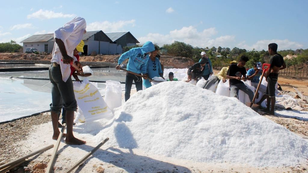 Karyawan tambak garam sedang memasukan garam ke dalam karung untuk dibawa ke dalam gudang, di desa Lede Ana kecamatan Sabu Barat. Karyawan ini digaji Rp 1,3 juta per bulan dan tabungan pensiunan Rp 100.000 per bulan yang diproses bank BRI Sabu. Kompas/Kornelis Kewa Ama (KOR) 24-09-2015