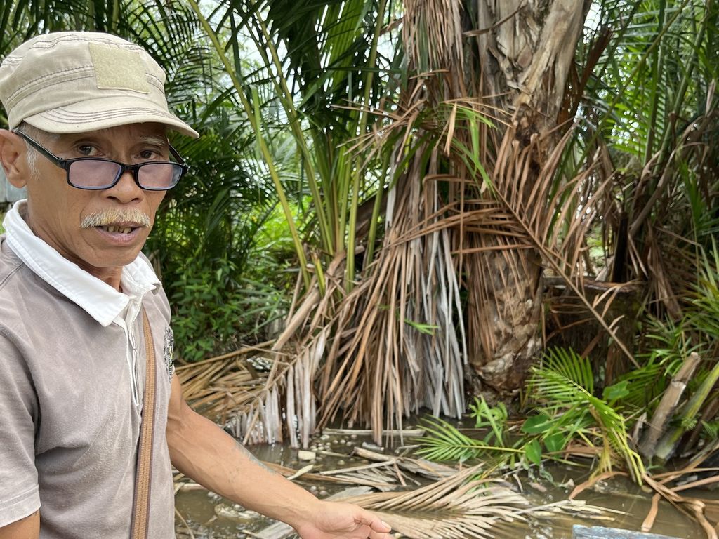 Sanyo, Mantir Adat Desa Kalumpang, Kabupaten Kapuas, menunjukkan pohon sagu rumbia yang banyak tumbuh di sekitar desa. Sumber karbohidrat kompleks ini bisa menjadi cadangan pangan masyarakat, selain padi dan umbi-umbian.