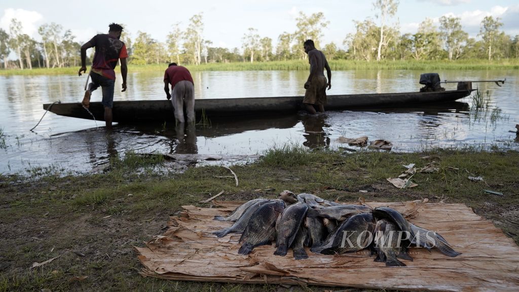 Warga mengemasi barang-barang setelah menjaring ikan di Sungai Kumbe di Kampung Baad, Distrik Animha, Kabupaten Merauke, Papua, Kamis (10/11/2022). Satu tusuk ikan mujair yang terdiri dari tiga hingga empat ekor dijual ke pengepul seharga Rp 15.000. 